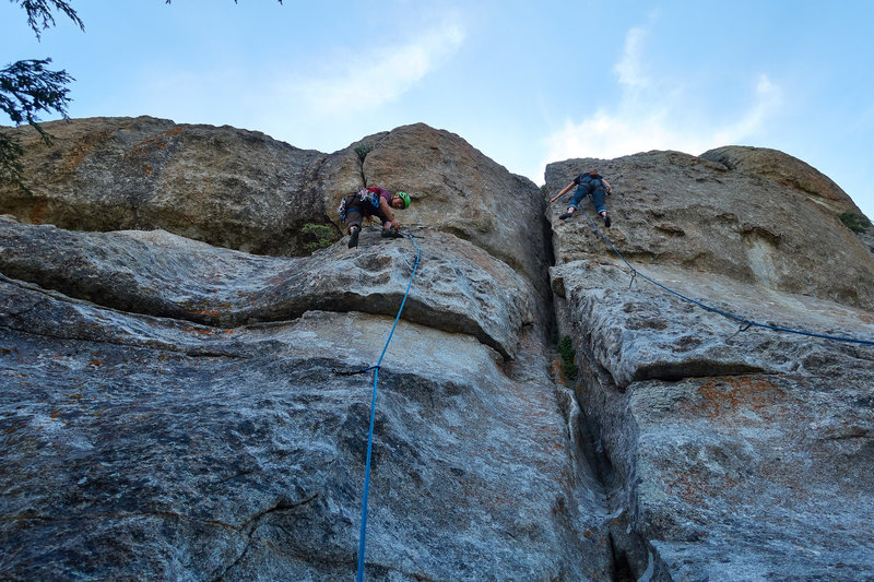 Built for Comfort on the left. Muffin Top on the right. Photo by JH.