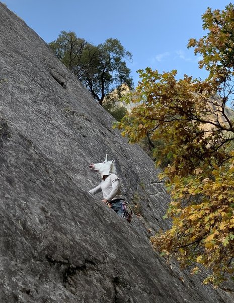 Beta for the 5.5 right side of Nutcracker 5.9 Variation