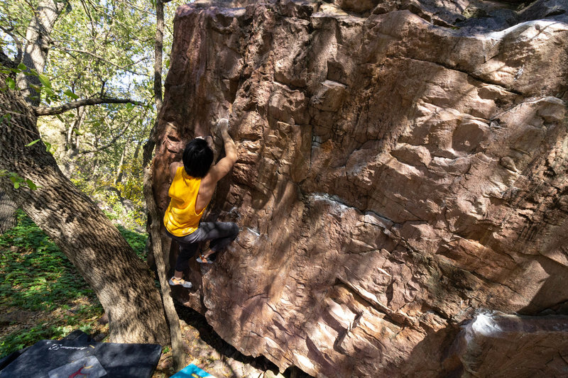Climbing snaggle-tooth