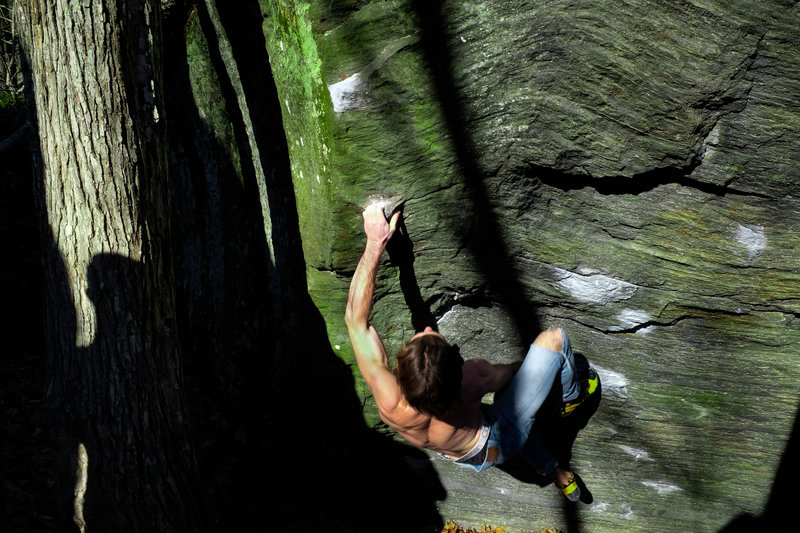 GRE(E)N: photo by Oliver Penner
