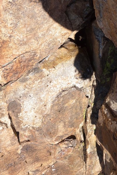 Listen for bees buzzing before you launch into this route. Bee's nest on the route, November 2019.