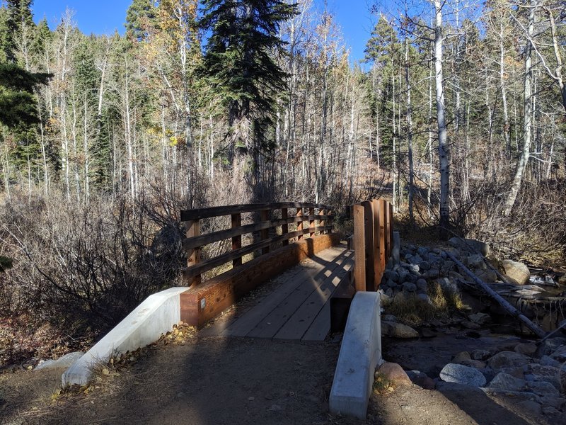 No need to cross the log anymore - This is the very obvious bridge you can see from the trail split- head over the bridge and in a minute or two take a left on a trail marked by a cairn.
