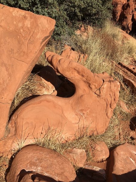 This "rabbit" shaped rock sits 3 feet from the base of All that, Jazz. Picture taken from the belay stance.
