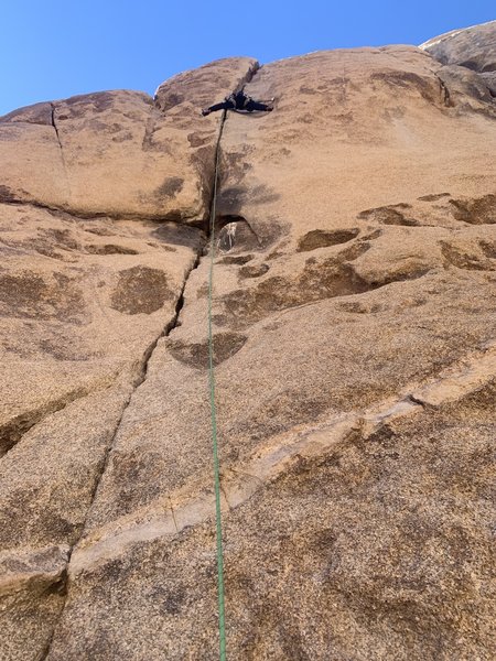 Bird picked a bad spot to soil himself. What a load! Climb was fun, though!