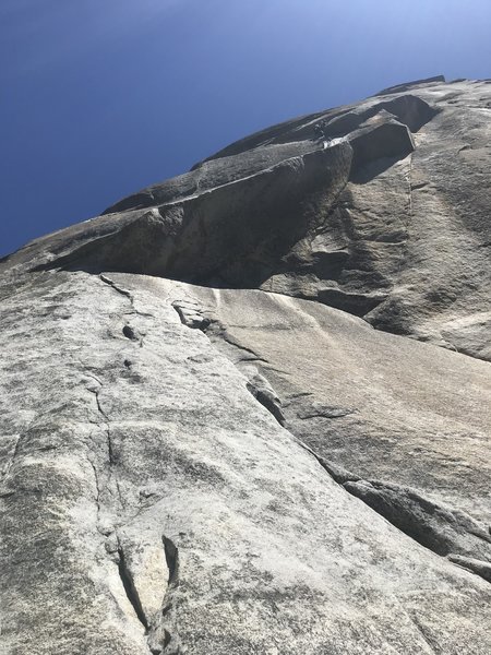 Looking up at kore roof
