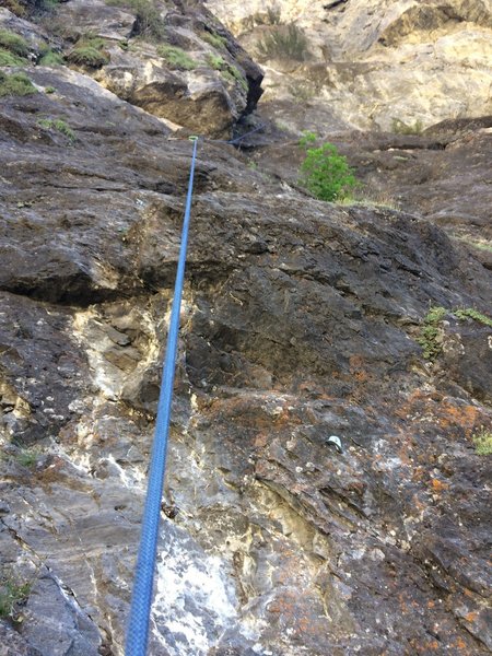 Looking up the second pitch.