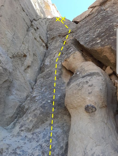Picture from the base of fracture.