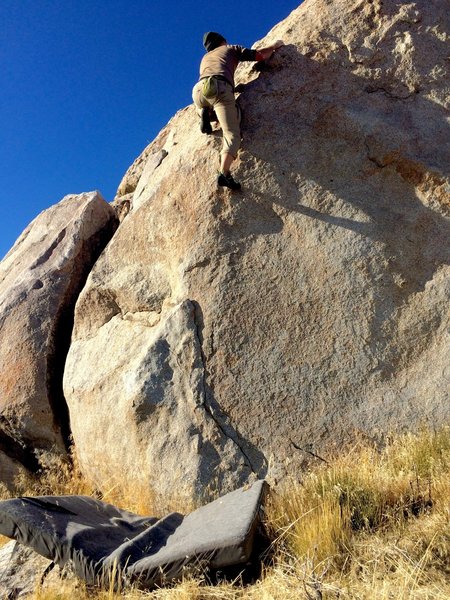 Topping out on Anthropoid