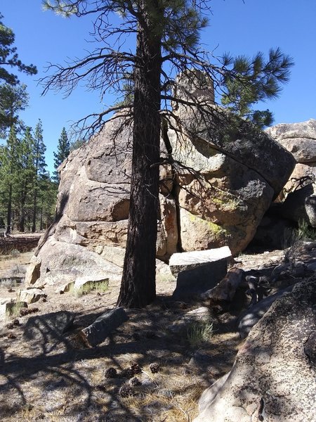 Right side.