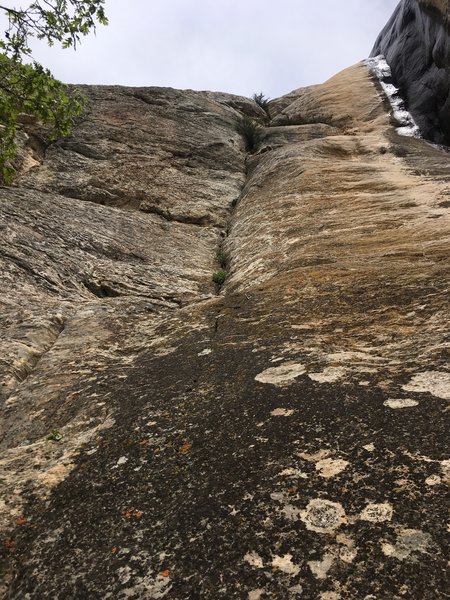 Billy's Crack