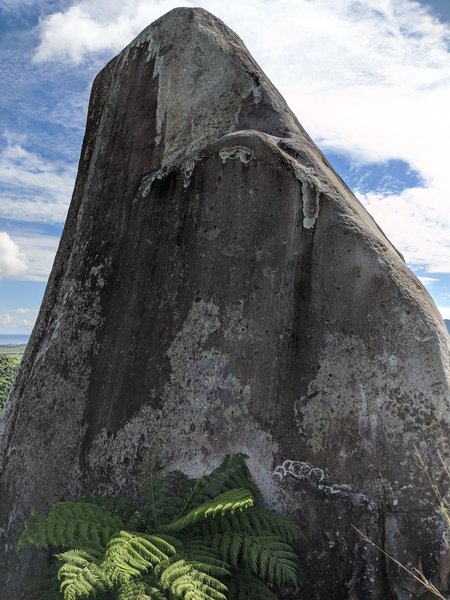 The face with the harder routes, on the left side as you approach the rock from below.