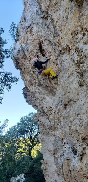 Amici Nuragici action. November 2019.