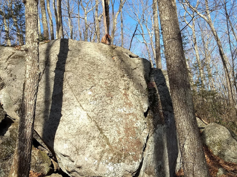 Easy side of the boulder. "Do you know this man" is somewhat blocked by the tree.