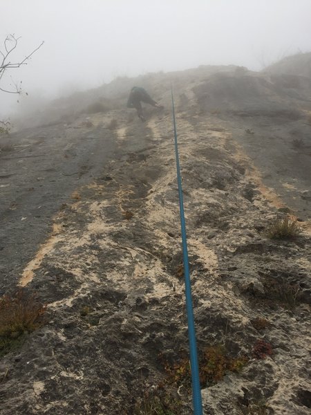 Cori finds her way through the mist on the exceptional Ali Bigoudi.