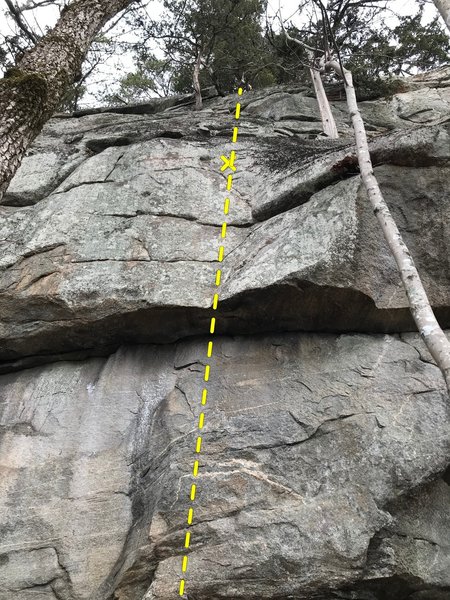 Another Dumb Route