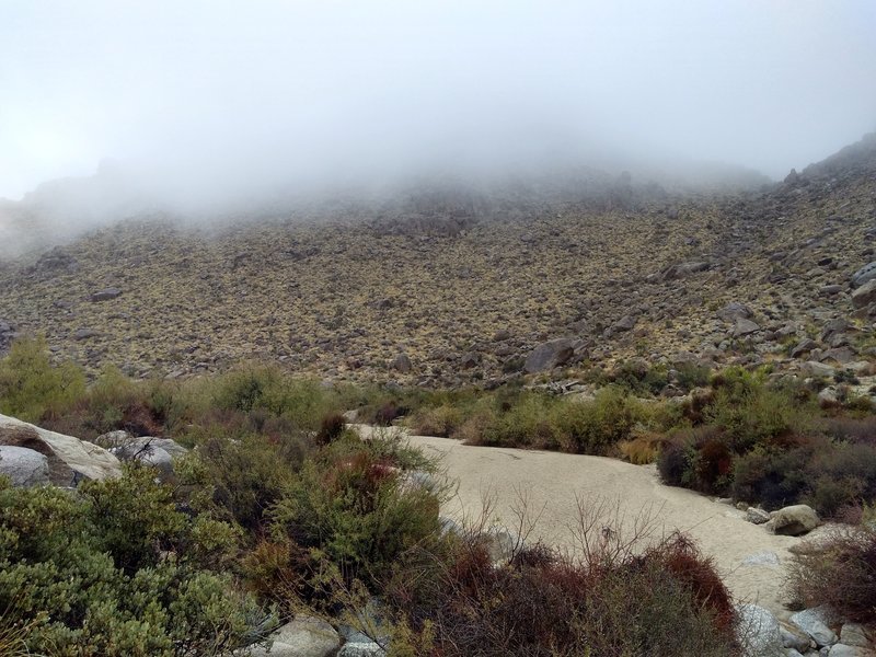 Looking up at the Alien Head Area, Rattlesnake Wash Hillside