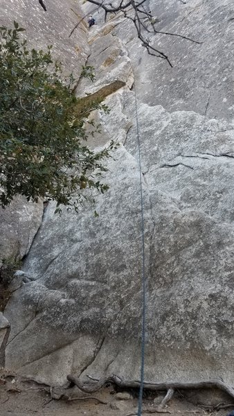 Pitch 1: From the climbers position, head left to a ledge with a bush with lots of webbing on it, can setup an anchor in the wall or belay from the tree I guess.