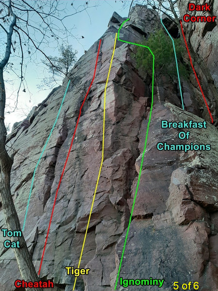 Cheatah, Ignominy, and other routes on the right side of the east-facing side of Bill's.