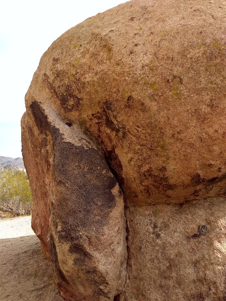Firebug (V3), Joshua Tree NP