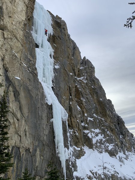 Following the last pitch of Amadeus.