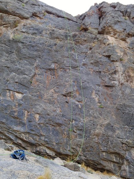 Trigger Happy and Bushmaster-- Bushmaster is the clipped line.