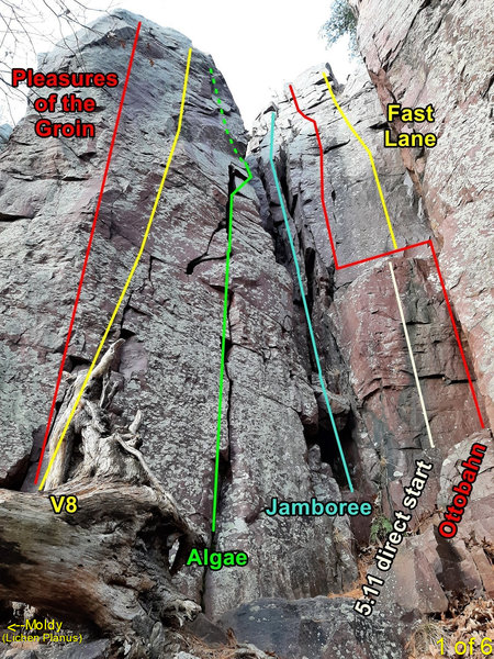 V8 tower area routes