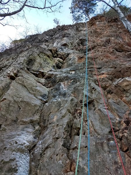 Right facing dihedral
