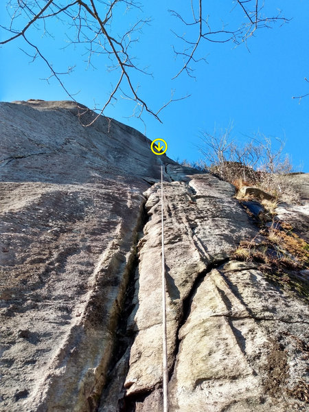 The view of second date from a static line mid cleaning