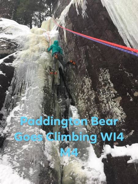 Paddington Bear Goes Climbing