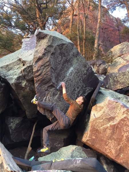 Ben Summay establishes on the start of Purple Hatchet.