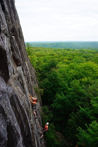Paul making the first moves on the second pitch of Silver Sweetness.