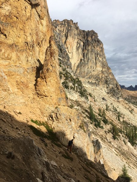 Coming down towards the start of Big Kangaroo in the background. Steep scree! We tried to stay high as we wrapped around.