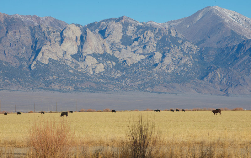 The Wild Granites as viewed from the RO Ranch in the bottom of Big Smokey Valley