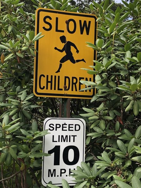 Please obey the speed limit.