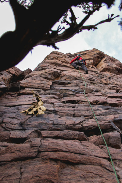 Lee on lead