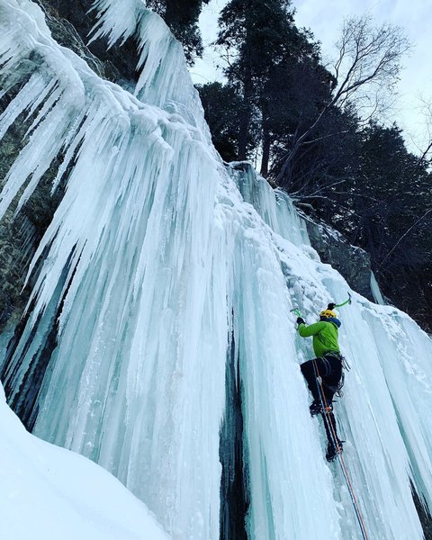 Some pillar action whilst on the search for Big Blue