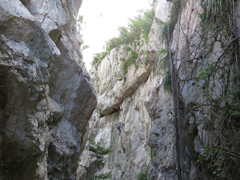 Climber on the vertical curtains section of the route Güanina, approaching the roof feature.
