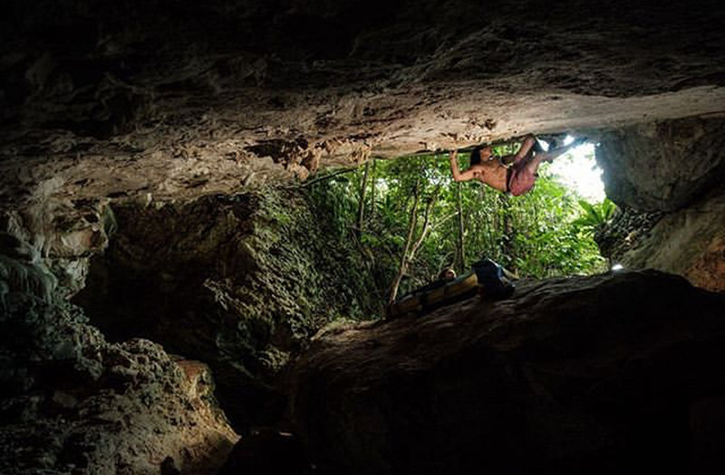 The great escape. Photo: Manuel Velez