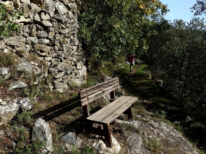 Sweet bench on trail to Telematica