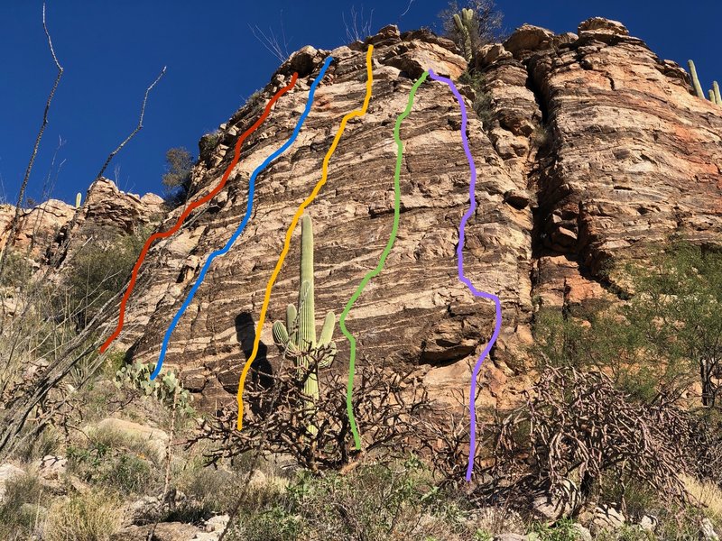 Routes at Cactus Ranch - left to right - Spiny Line, Flesh Wound, Jonah's Jaunt, Don't Tickle the Pickle, Thorny Issue