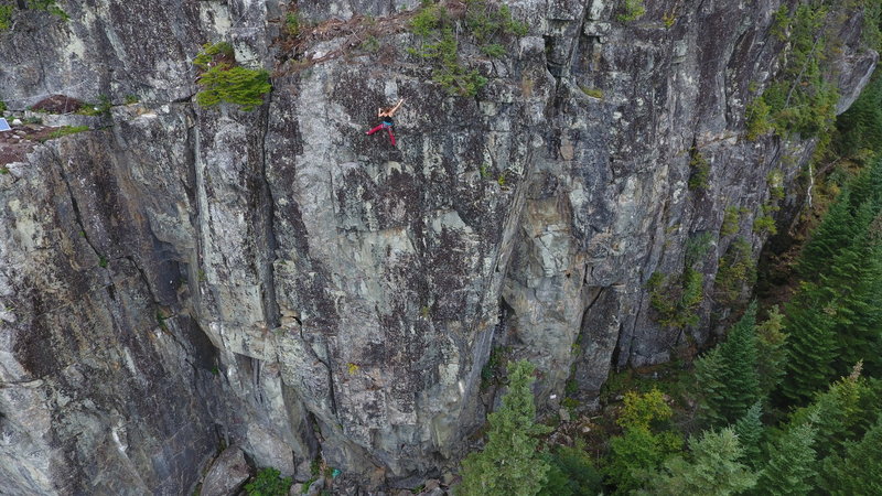 top section