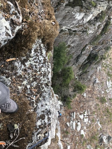 Looking down from the top