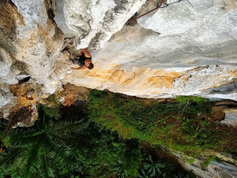 Climbing second pitch