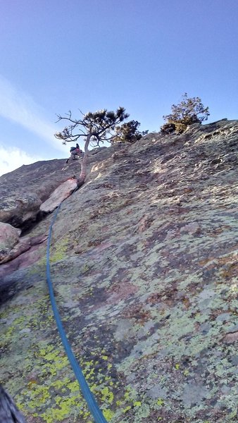 Looking up while Ron leads second pitch.