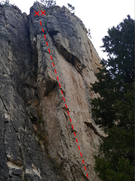 Vitamin Steele arete