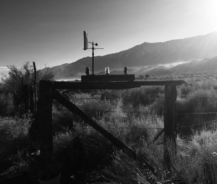MWCR wind vein that has been in my family and in this valley for 3 generations.