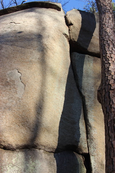 Pine Tree Crack