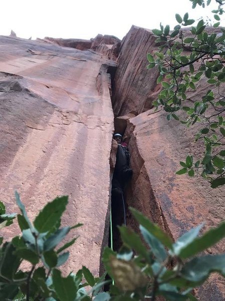 The mandatory Zion chimney on Pitch 1