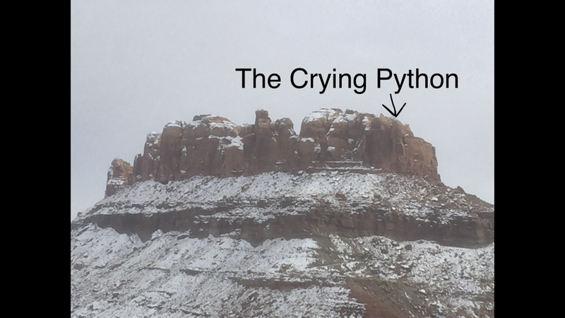 Poor photo from the corral on 313.