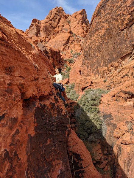 Fern topping out